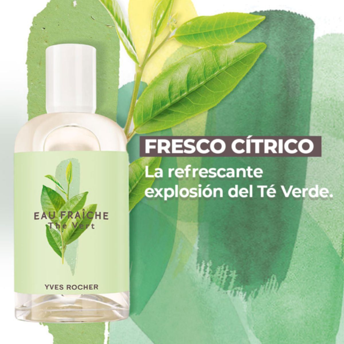 Colonia Te Verde de Yves Rocher